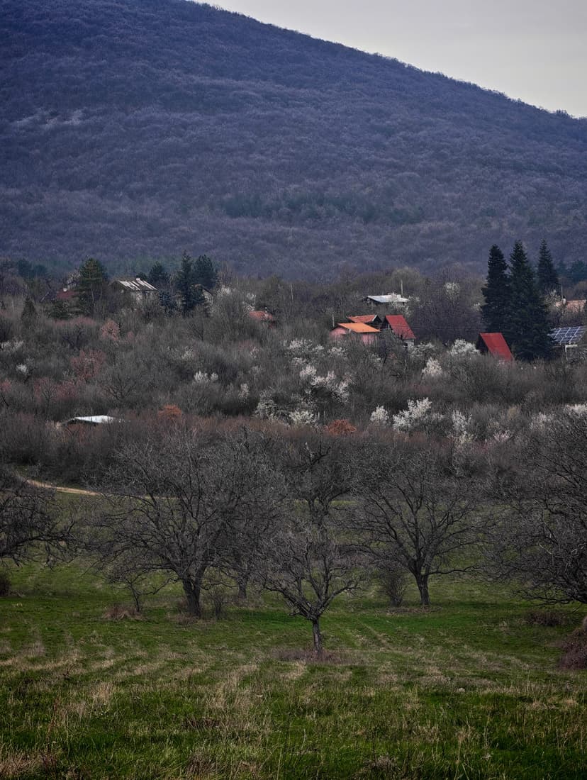 Село Паталеница